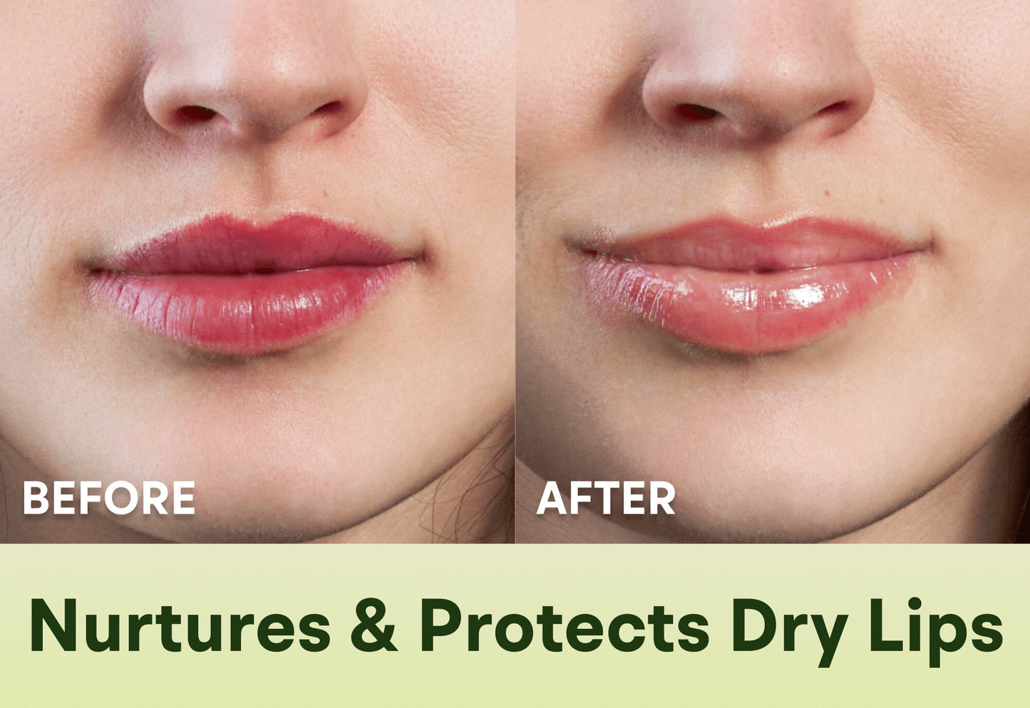 Honey Matcha - Limited Edition