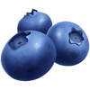 Blueberry - Limited Edition